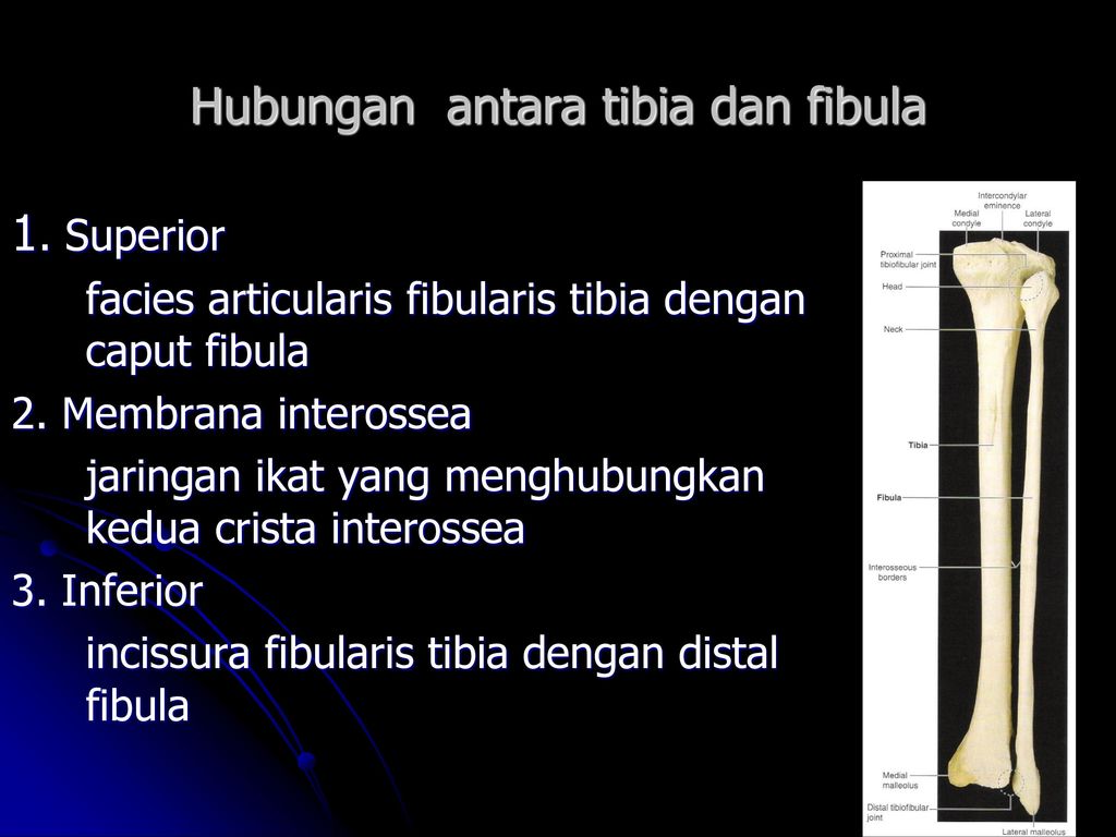 Que significa agua tibia